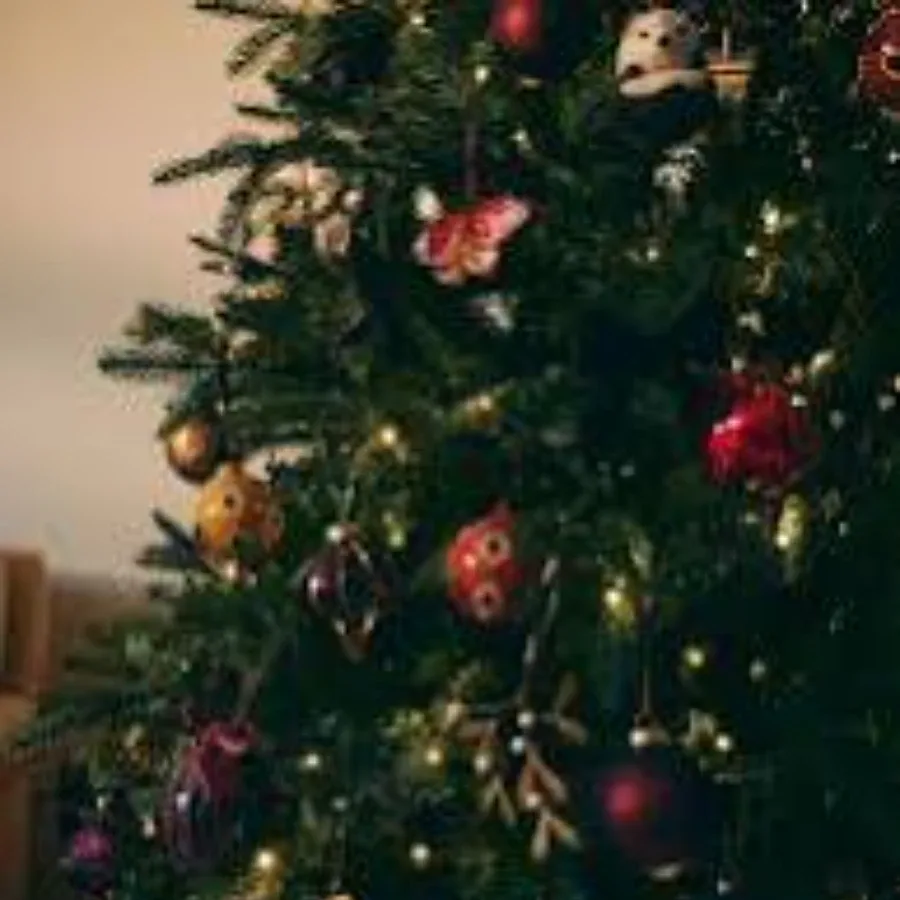 Festive entrance styling for a professional venue